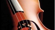 Viola and Violin Lessons